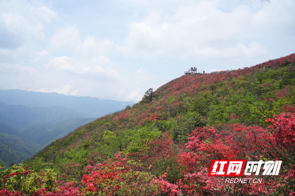 “五一”假期湖南生态旅游活力澎湃：综合收入突破132亿元