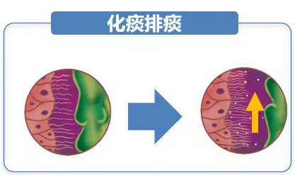冬日寒邪易伤肺 中西结合促健康